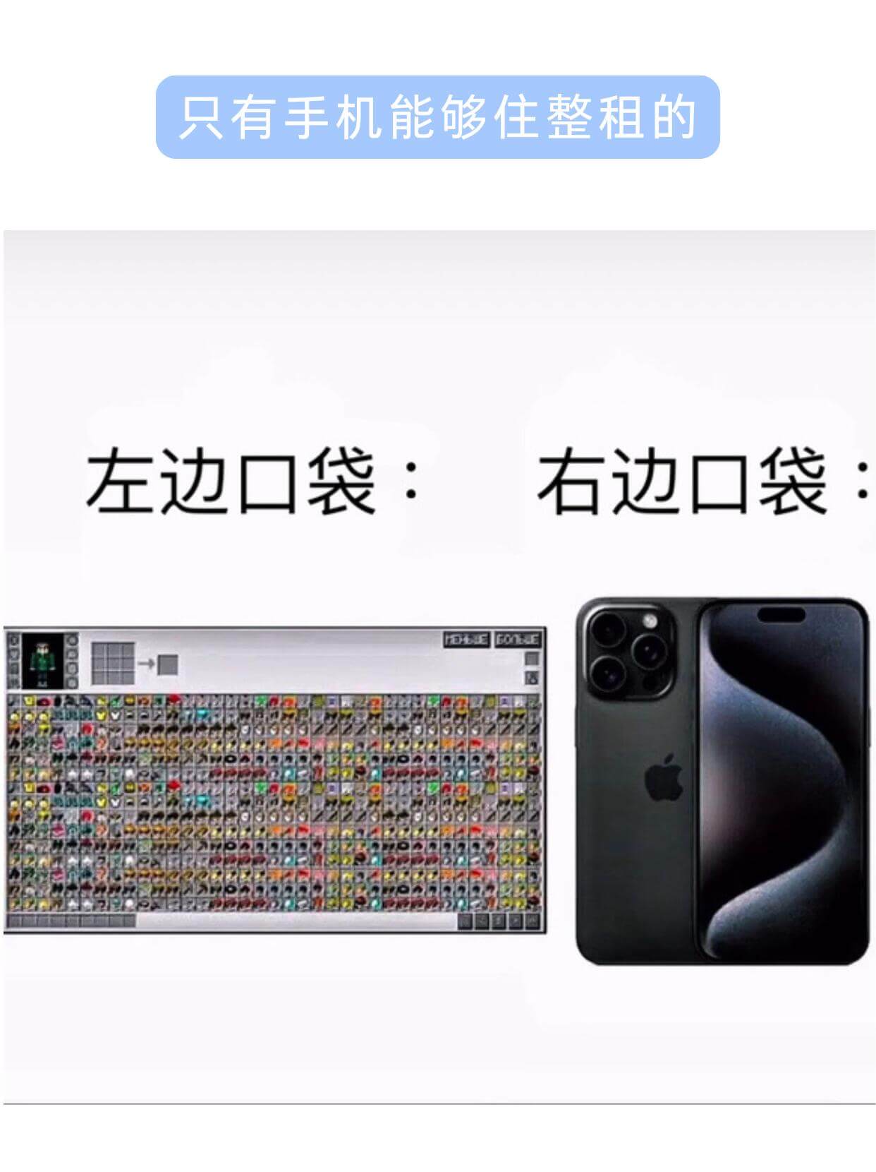 只有手机能够住整租的左边口袋：右边口袋