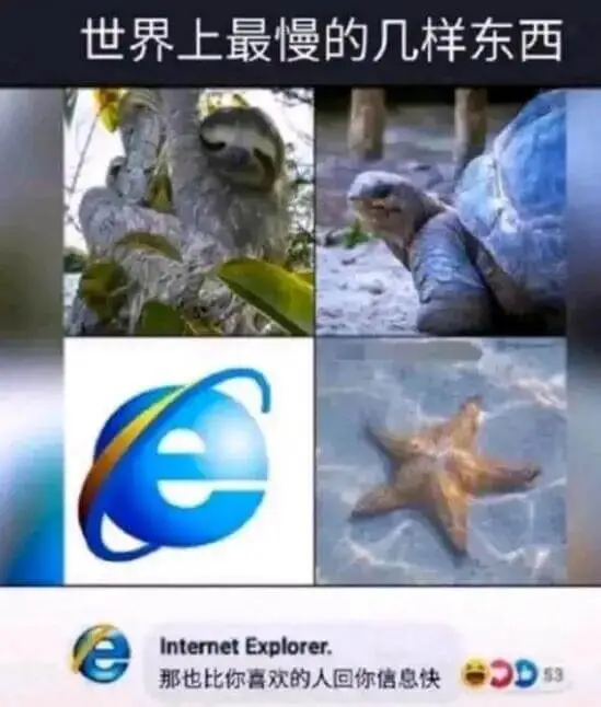 世界上最慢的几样东西：InternetExplorer.那也