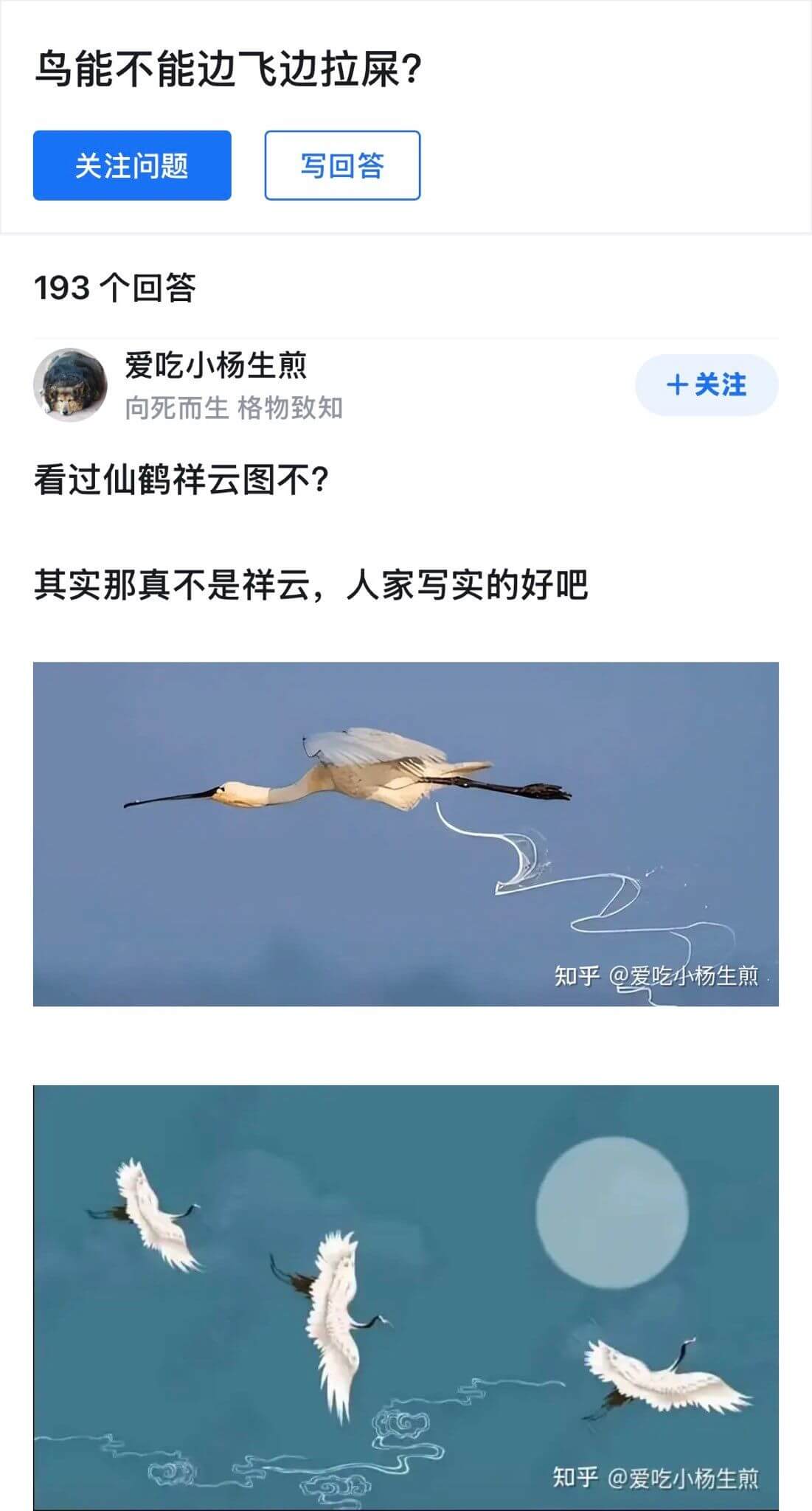 鸟能不能边飞边拉屎？关注问题写回答193个回答爱吃小杨生煎十