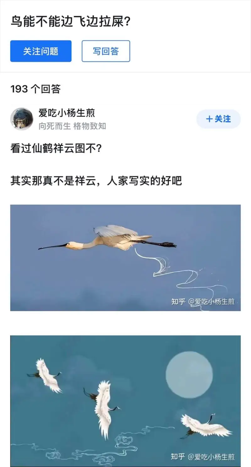 鸟能不能边飞边拉屎？关注问题写回答193个回答爱吃小杨生煎十