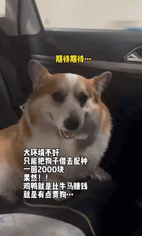 以为是妈妈，没想到是妈妈桑