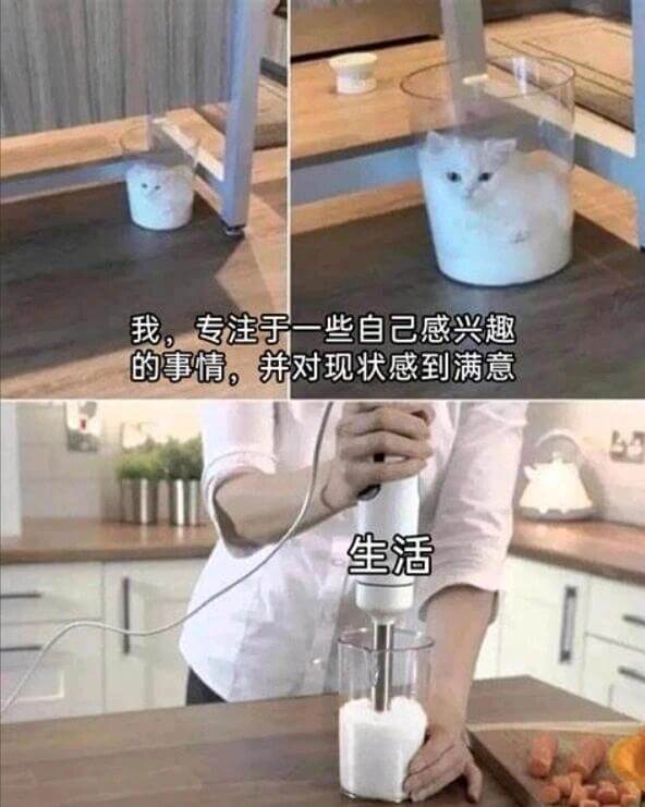 我专注于一些自己感兴趣的事情，并对现状感到满意。生活