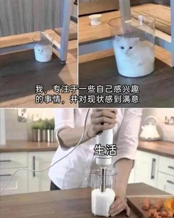 我专注于一些自己感兴趣的事情，并对现状感到满意。生活