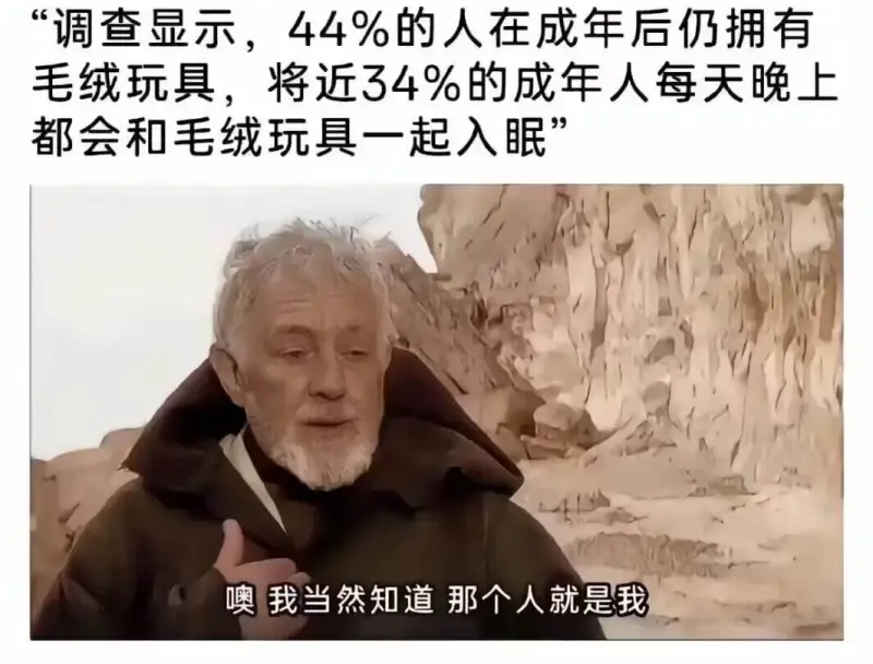 调查显示，44%的人在成年后仍拥有毛绒玩具，将近34%的成年