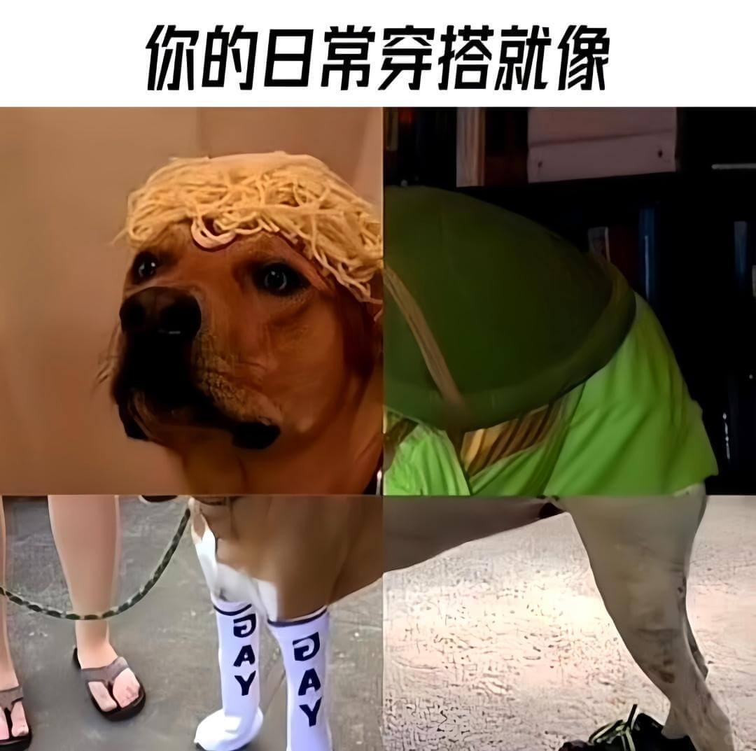 你的日常穿搭就像DAYDAY