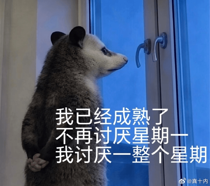 我已经成熟了，不再讨厌星期十，我讨厌一整个星期。@真十内