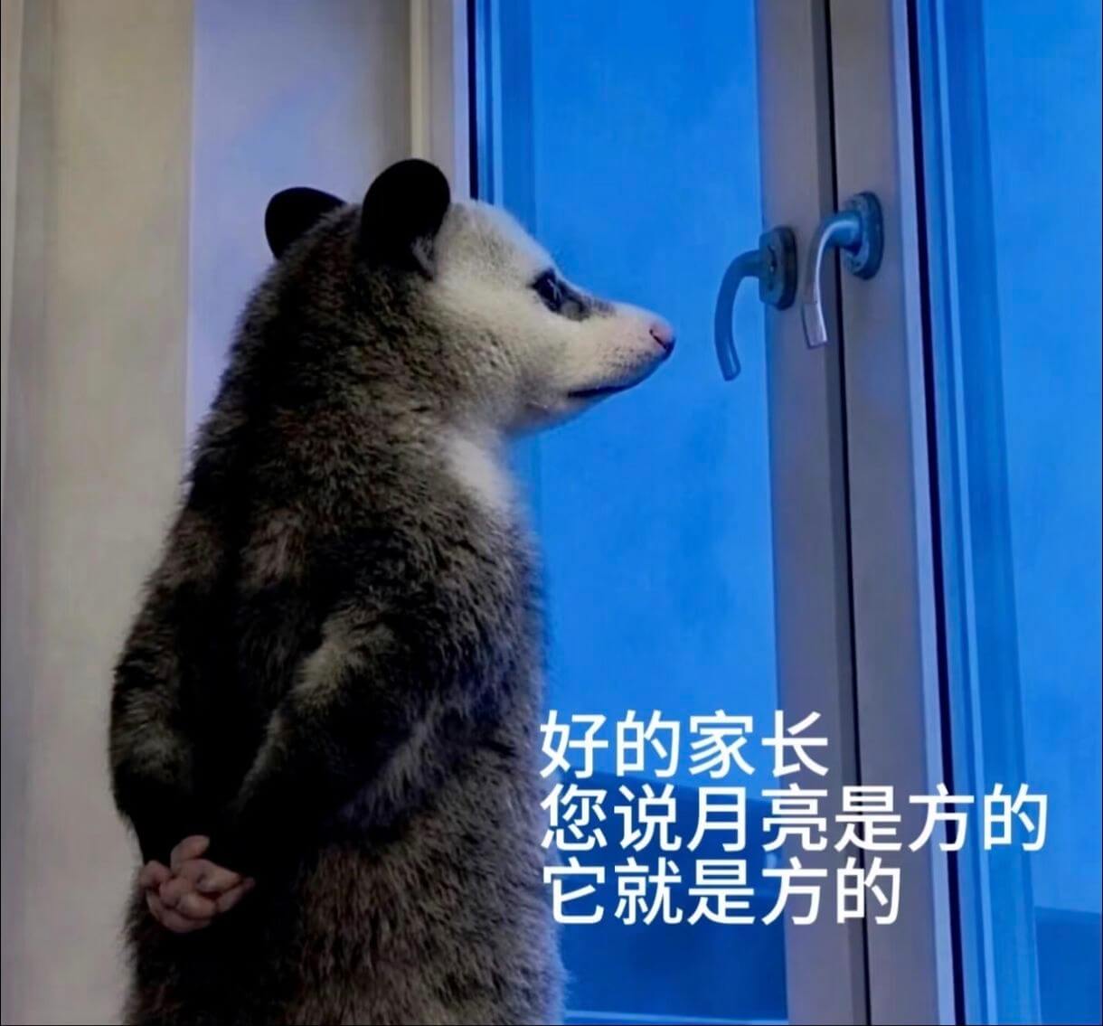 好的，家长！您说月亮是方的，它就是方的。