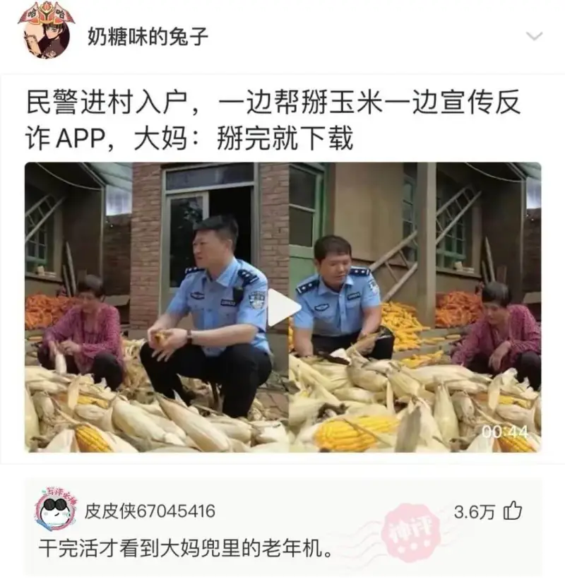 奶糖味的兔子民警进村入户，一边帮玉米一边宣传反诈APP，大妈