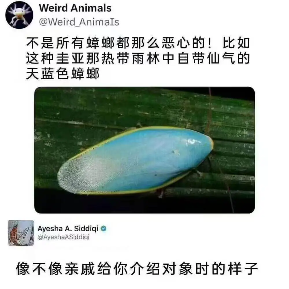 WeirdAnimals@WeirdAnimaIs不是所有蟑