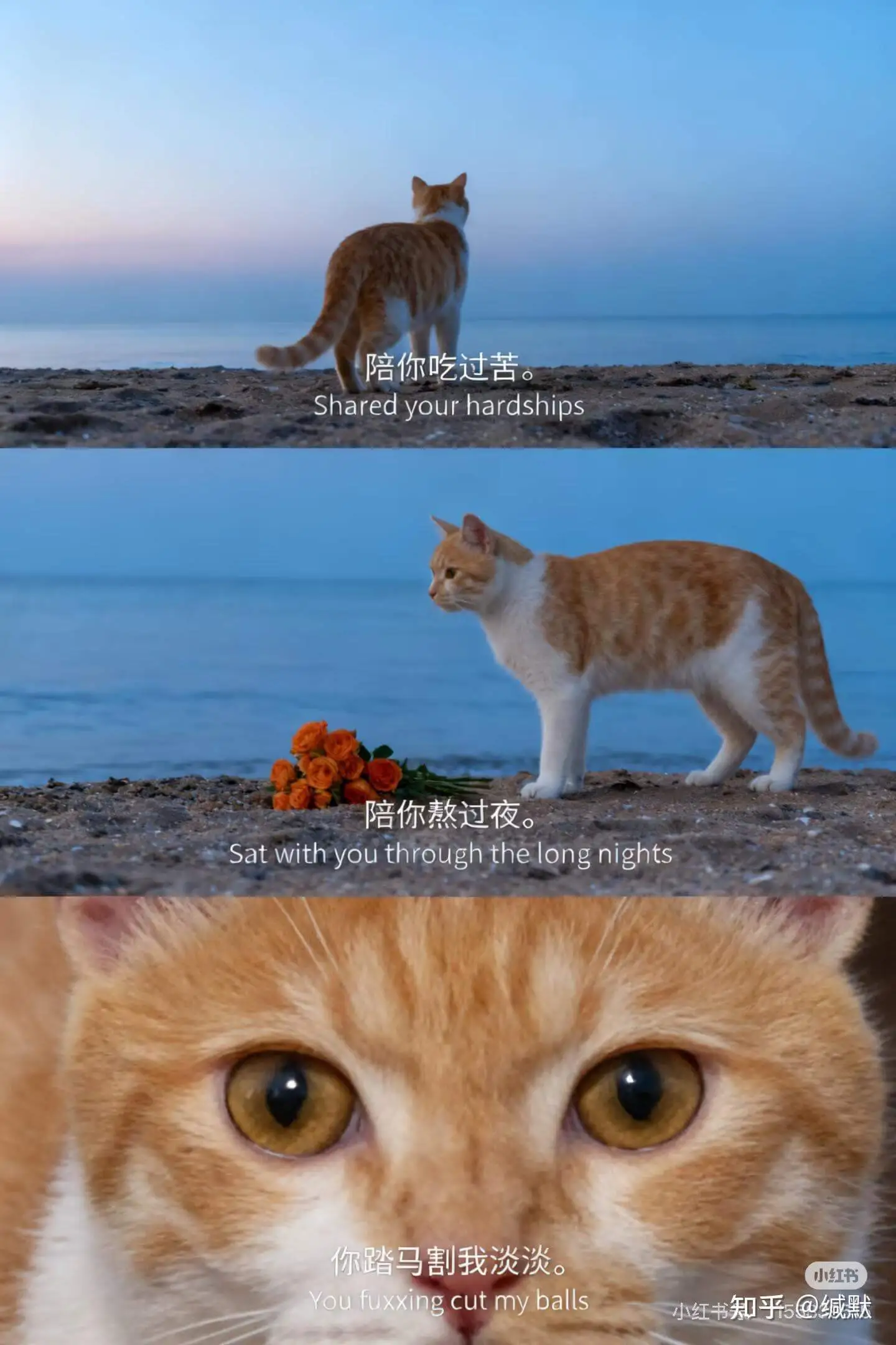 陪你吃过苦。Sharedyourhardships陪你熬过夜
