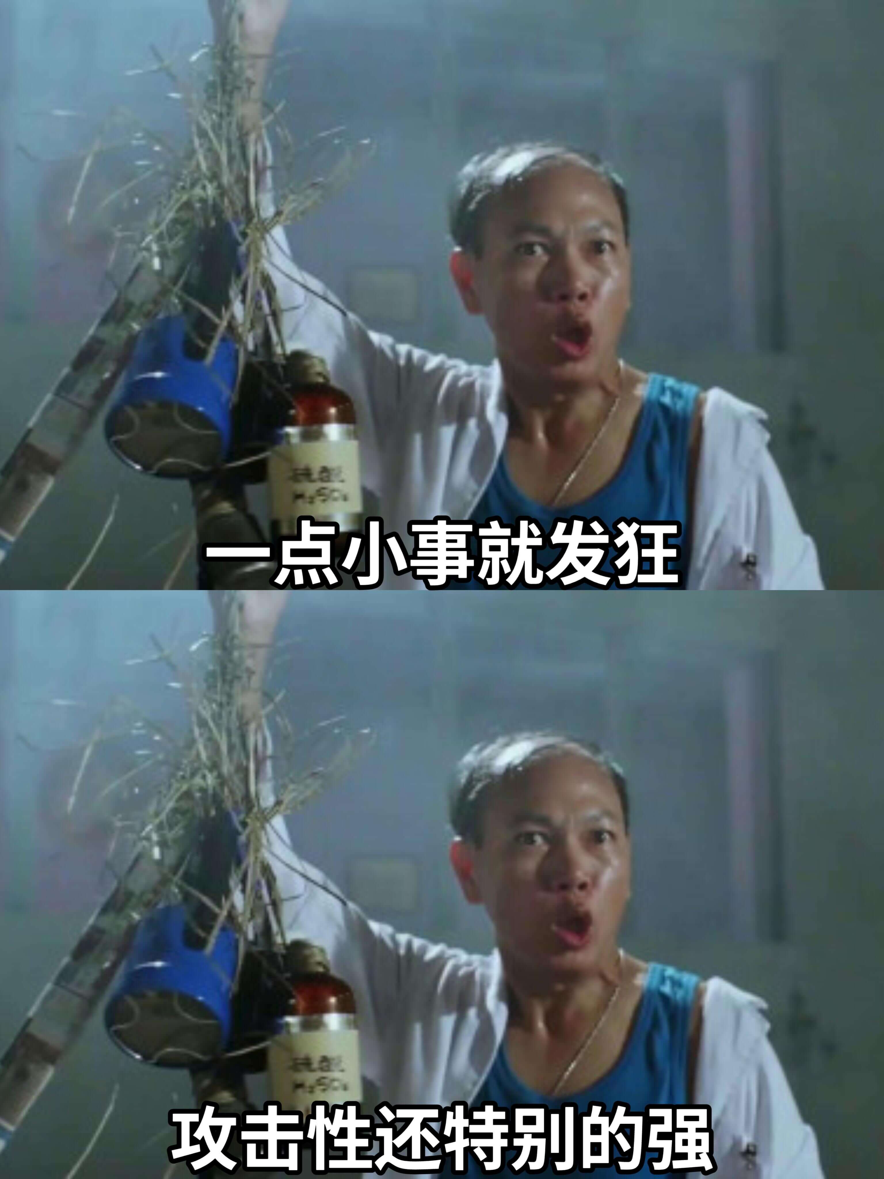 一点小事就发狂攻击性还特别强
