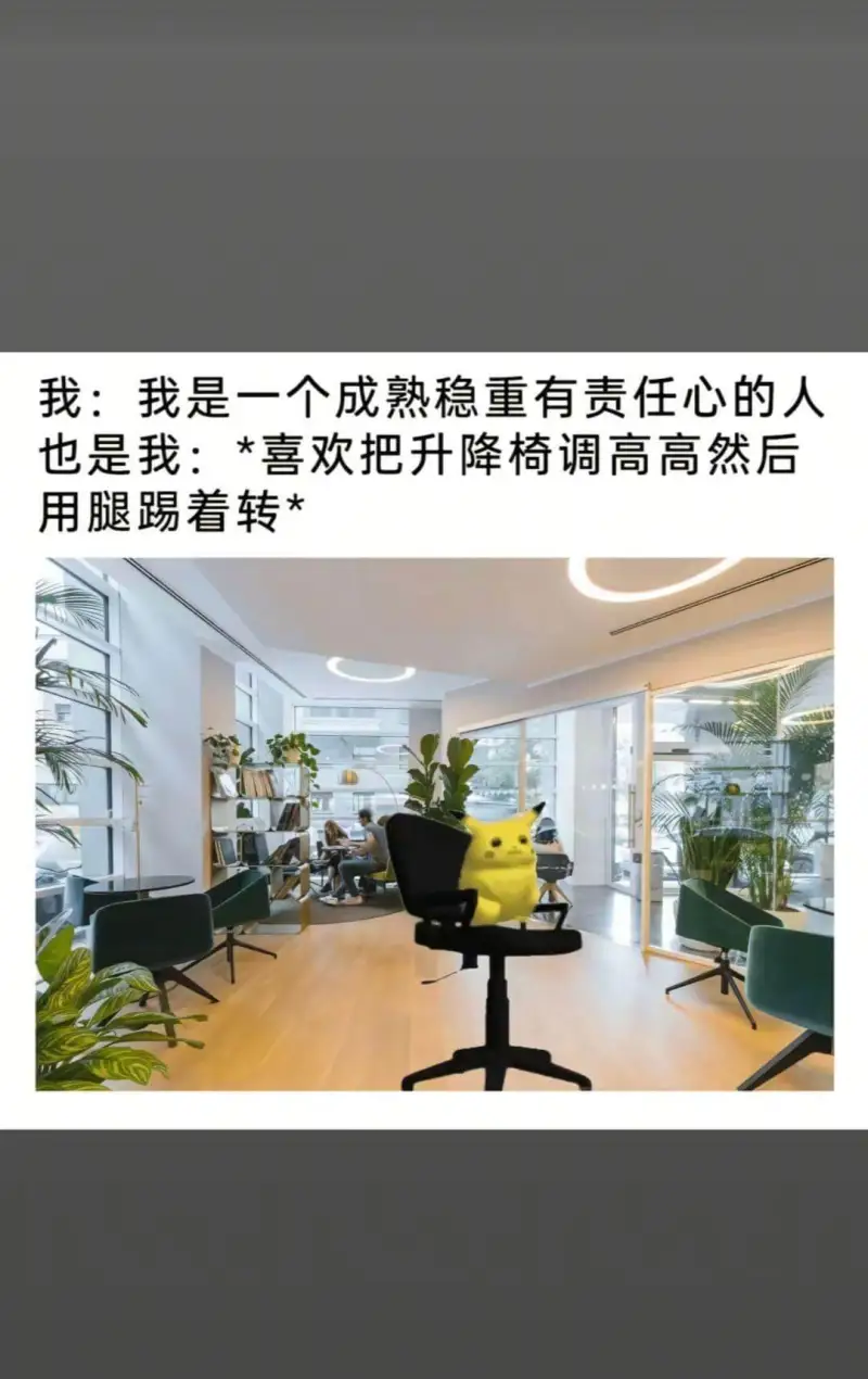 我：我是一个成熟稳重有责任心的人。也是我：*喜欢把升降椅调高
