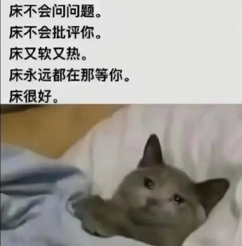 床不会问问题。床不会批评你。床又软又热。床永远都在那等你。床