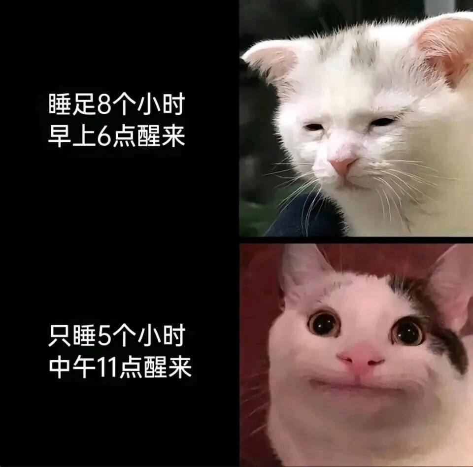 睡足8个小时，早上6点醒来；只睡5个小时，中午11点醒来。