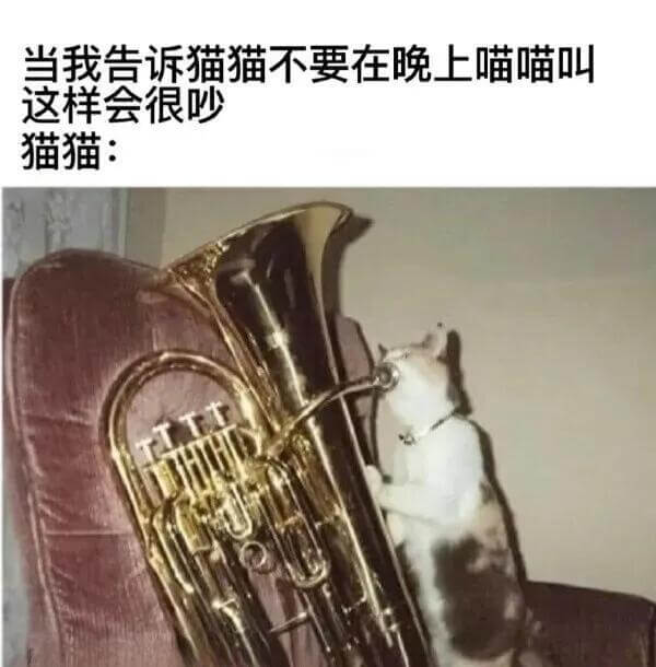 当我告诉猫猫不要在晚上喵喵叫，这样会很吵。猫猫：