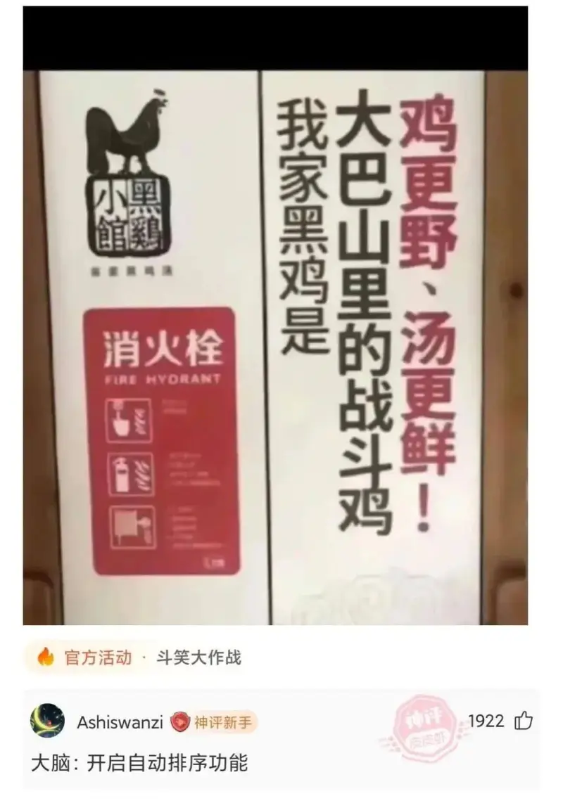 大鸡我家黑鸡是大巴山里的战斗鸡鸡更野、汤更鲜!小黑館雞装消火