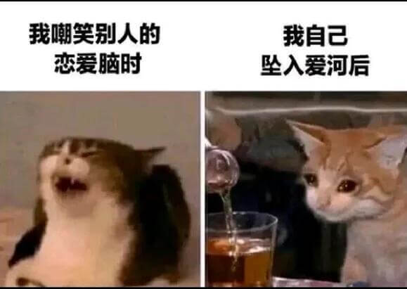 我嘲笑别人的恋爱脑时我自己坠入爱河后