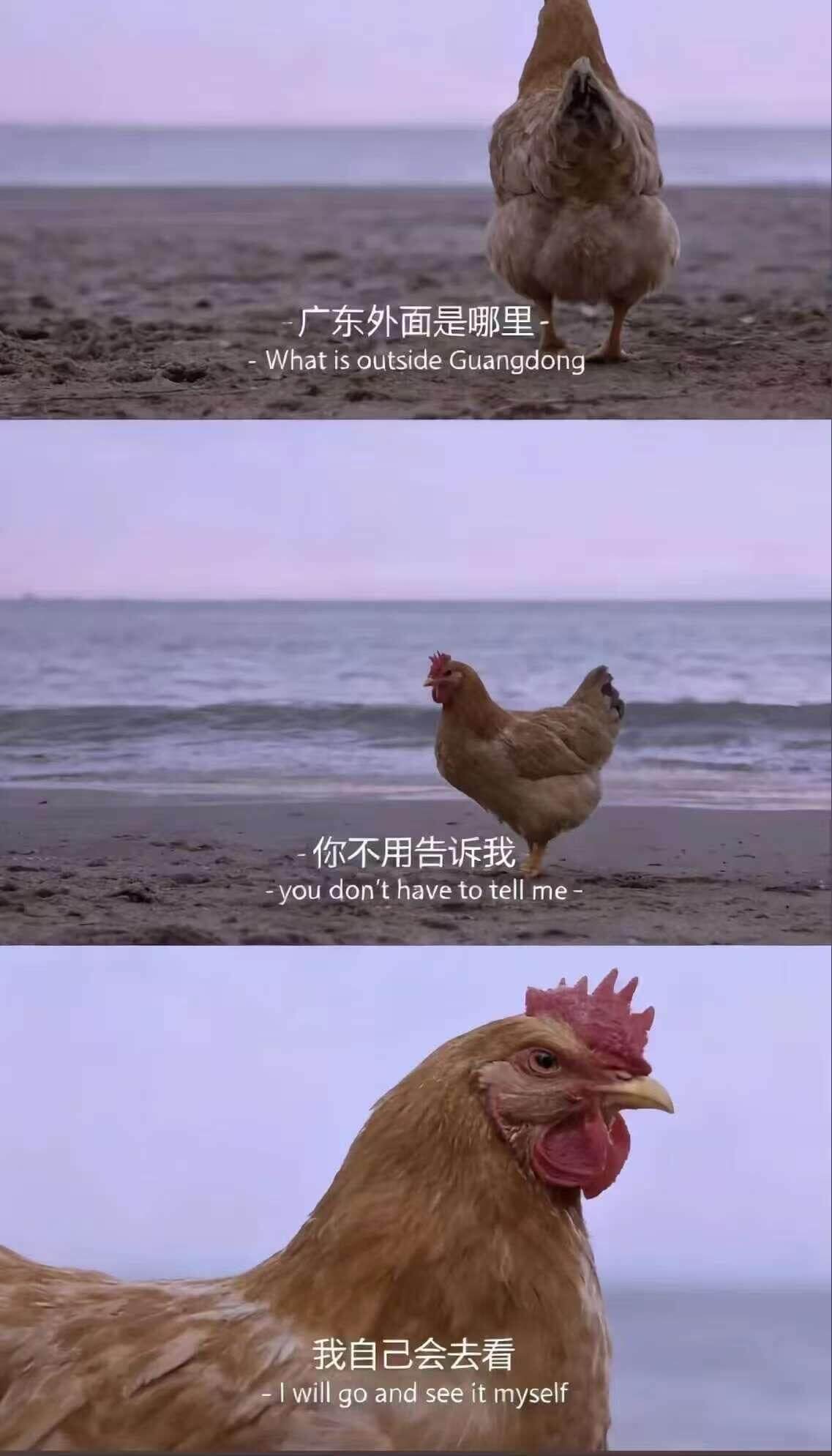 广东外面是哪里WhatisoutsideGuangdong你