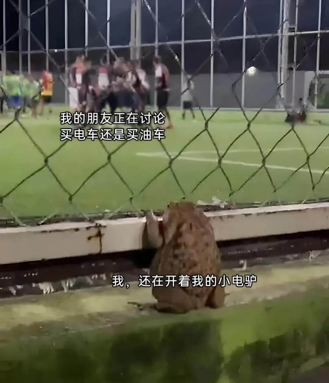 我的朋友正在讨论买电车还是买油车，我，还在开着我的小电驴。