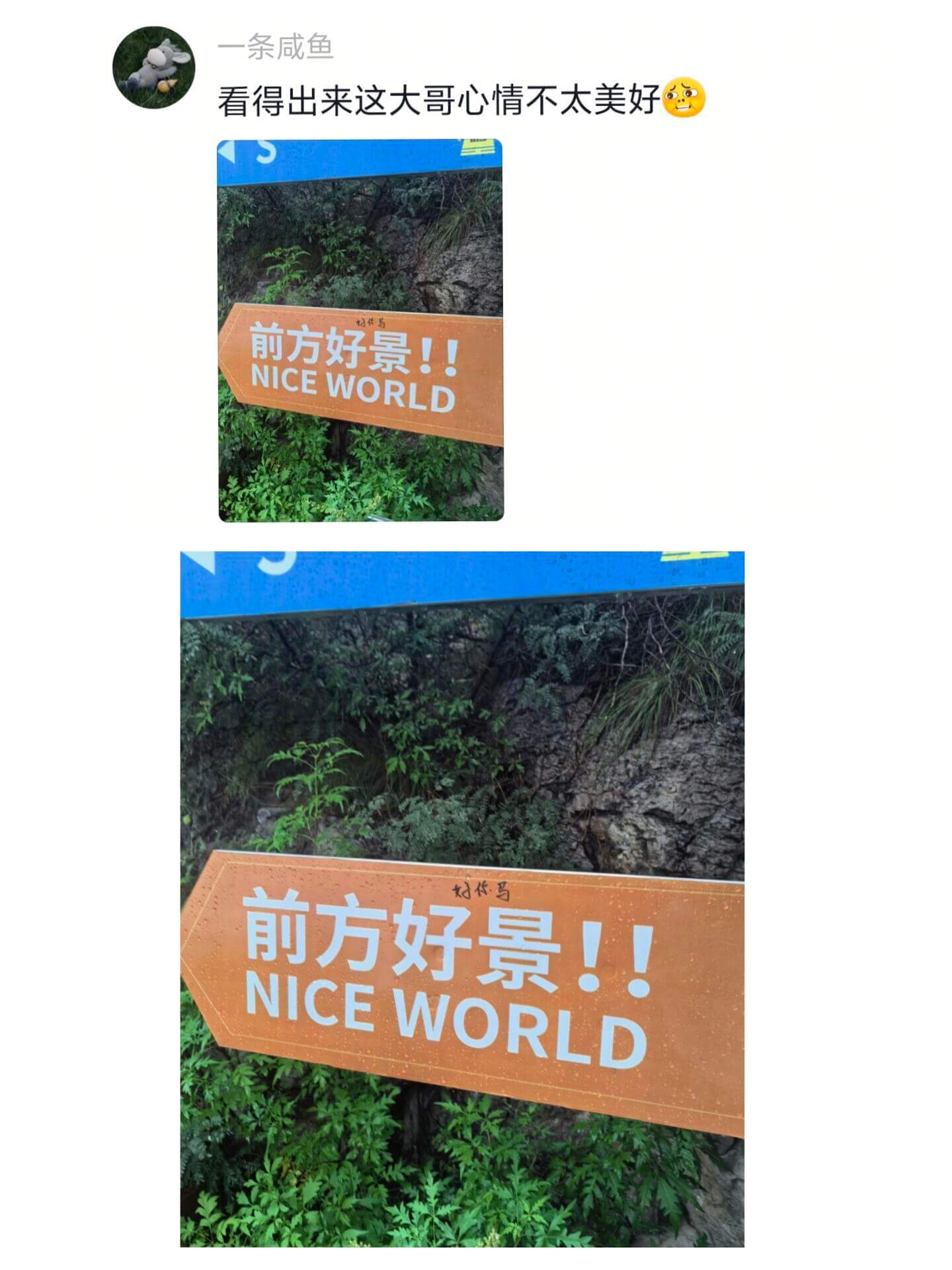 一条咸鱼看得出来这大哥心情不太美好前方好景!!NICEWOR