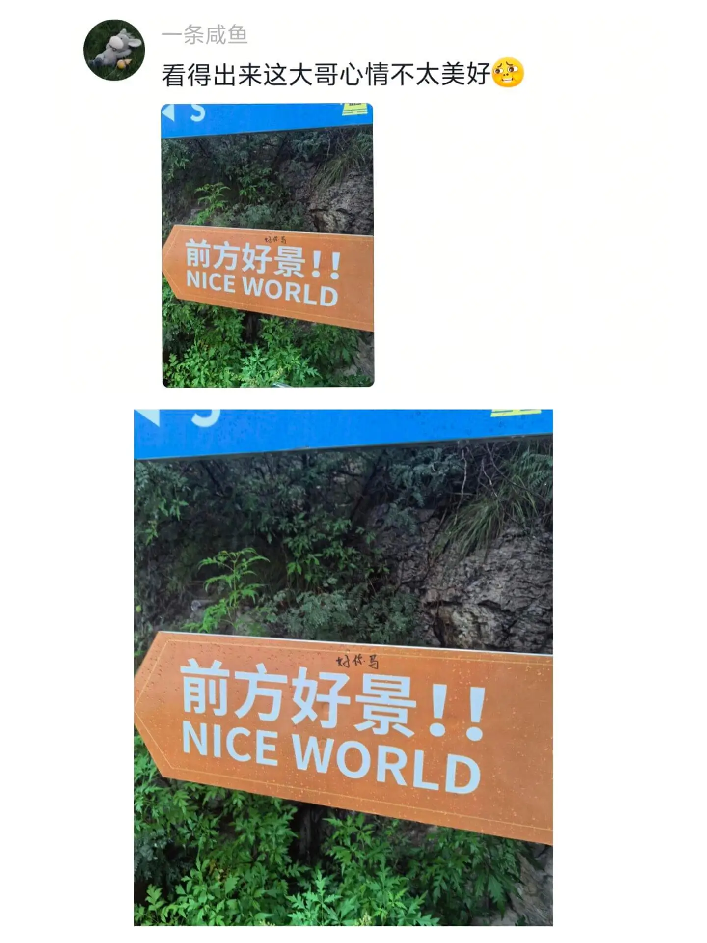 一条咸鱼看得出来这大哥心情不太美好前方好景！！NICEWOR