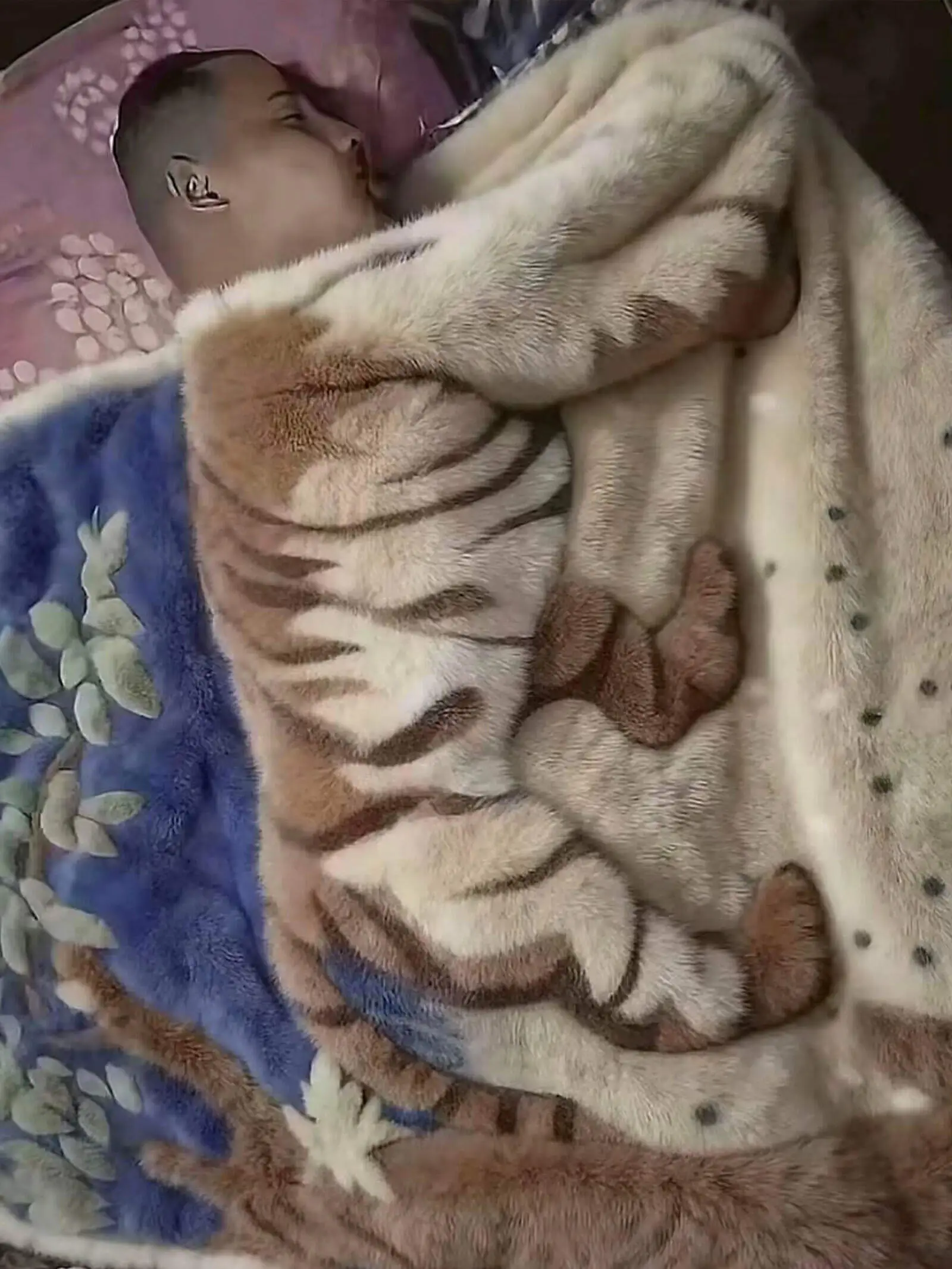 你们肯定觉得不好笑，谁懂我这狗屎笑点