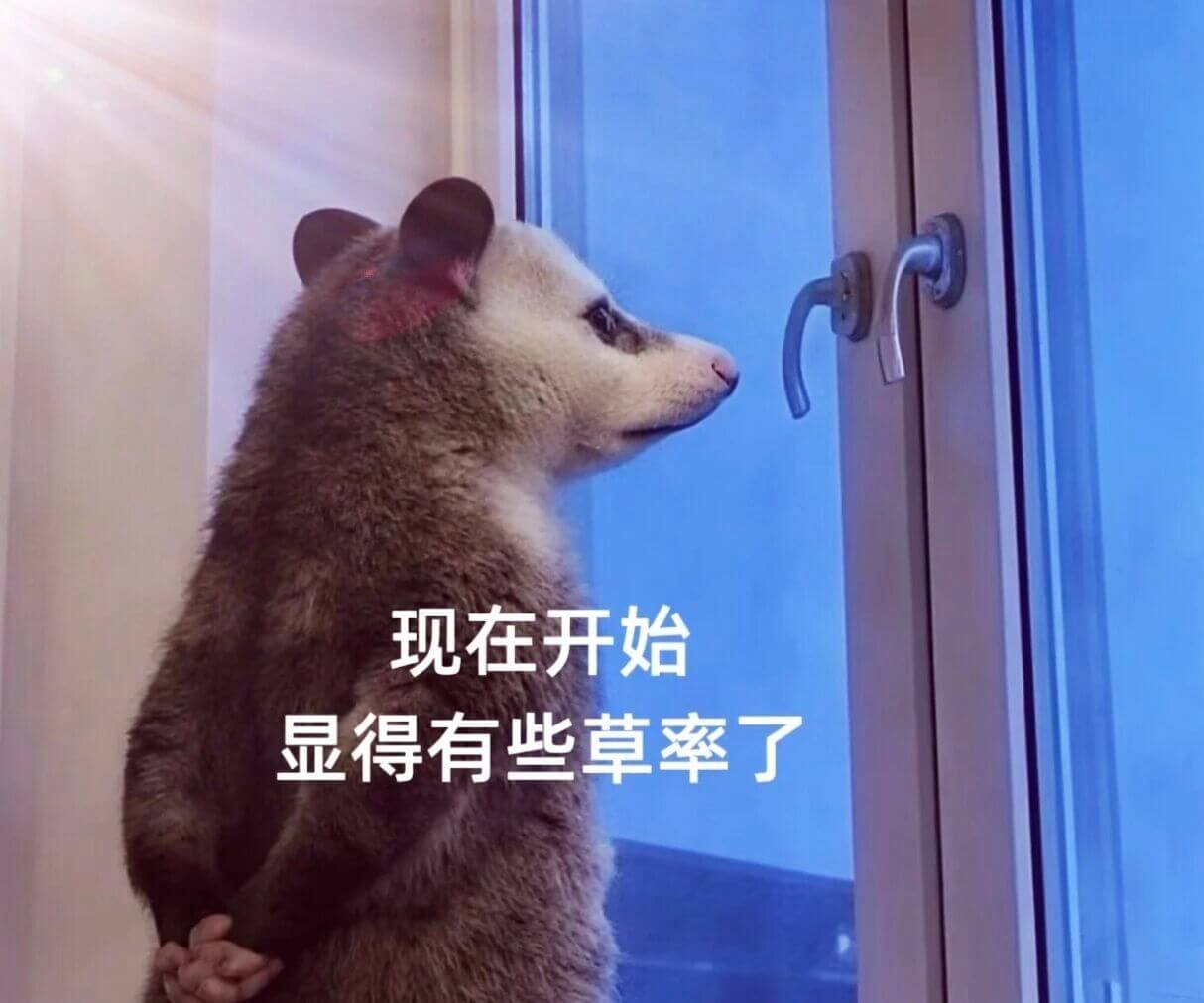 现在开始，显得有些草率了。