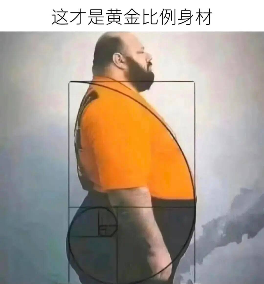 这才是黄金比例身材