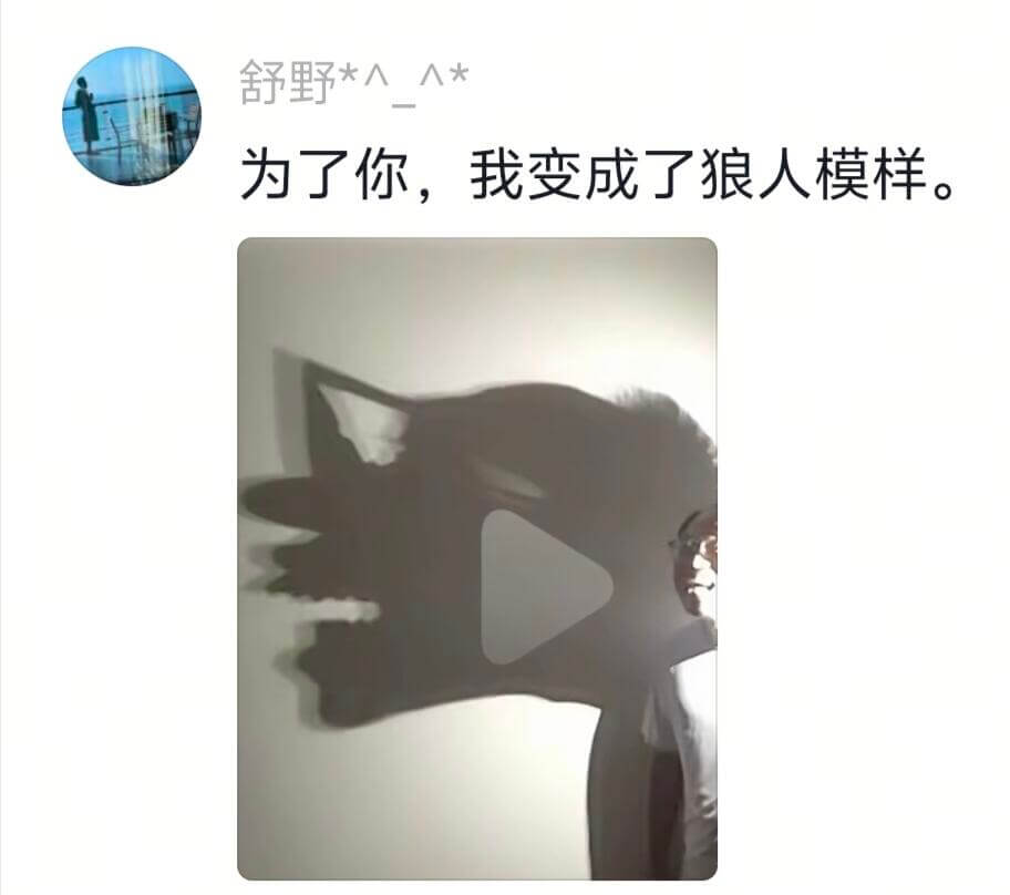 舒野＊入入*为了你，我变成了狼人模样。