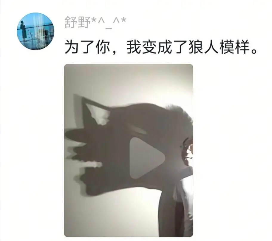 舒野*入入*为了你,我变成了狼人模样。