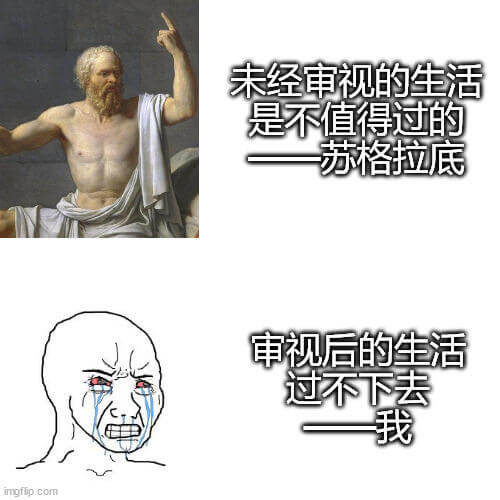 未经审视的生活是不值得过的。——苏格拉底审视后的生活，过不下