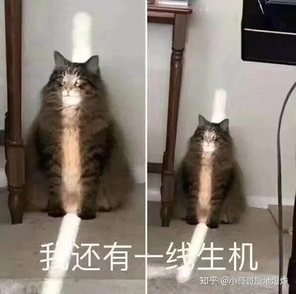 我还有十线生机知乎@小哥哥原地爆烤