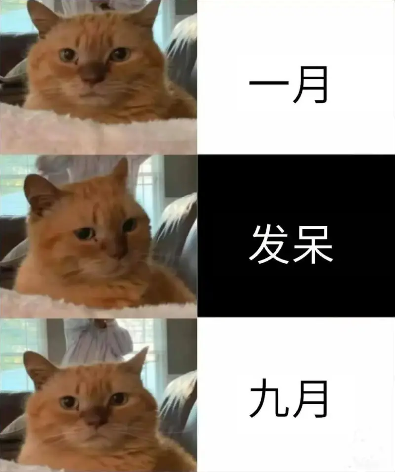 一月发呆九月