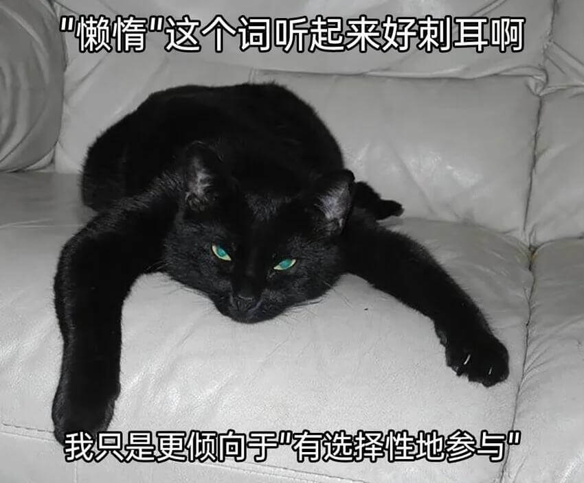 懒赖情“这个词听起来好刺耳啊我只是更倾向于“有选择性地参与