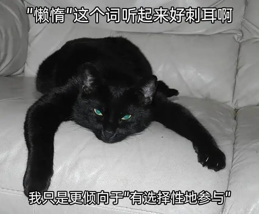懒赖情“这个词听起来好刺耳啊我只是更倾向于“有选择性地参与