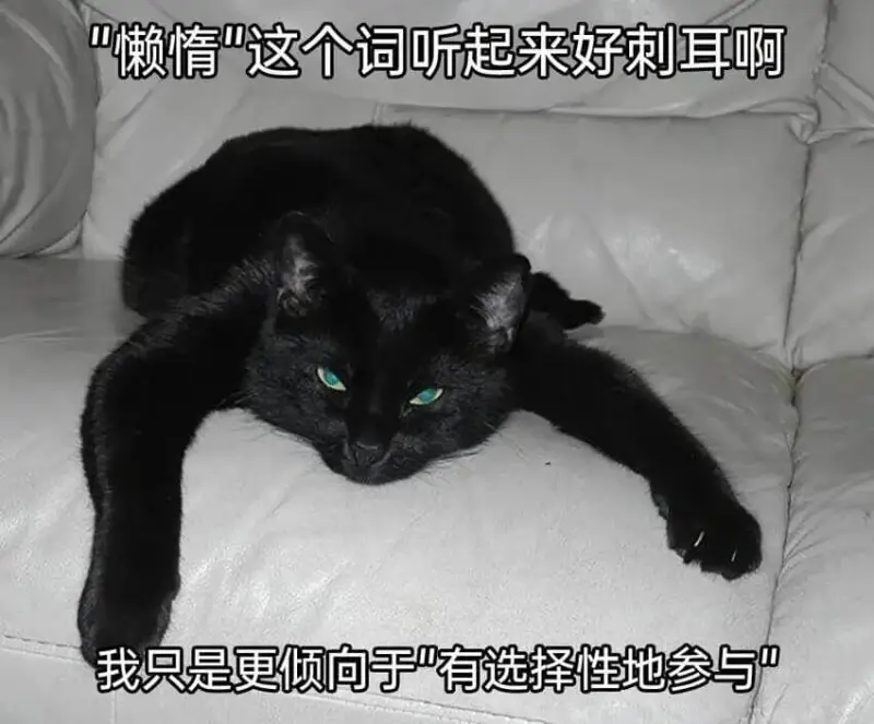 懒赖情“这个词听起来好刺耳啊我只是更倾向于“有选择性地参与