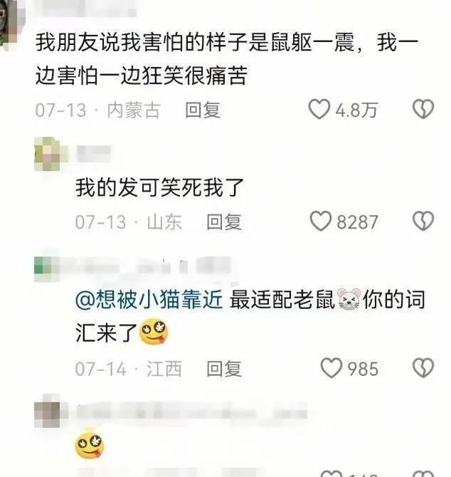 梗图