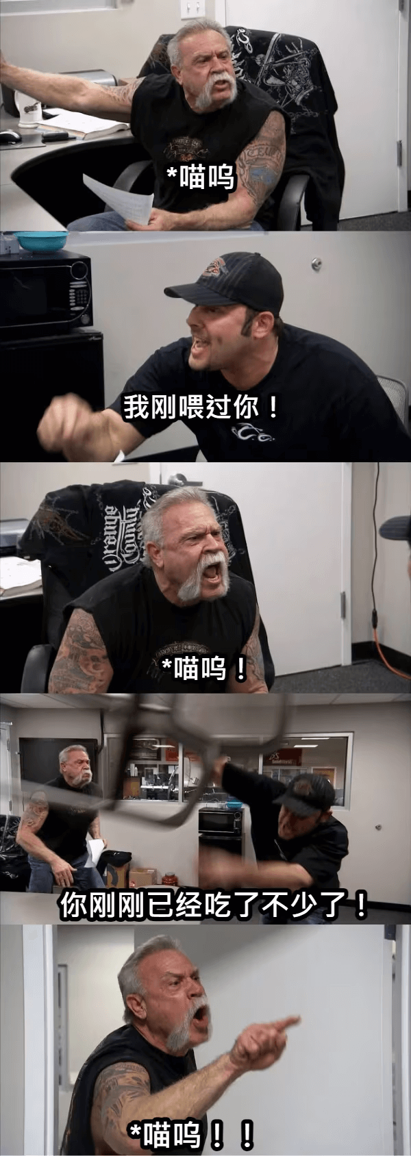 *喵呜我刚喂过你!*喵呜!你刚刚已经吃了不少了!*喵呜!!