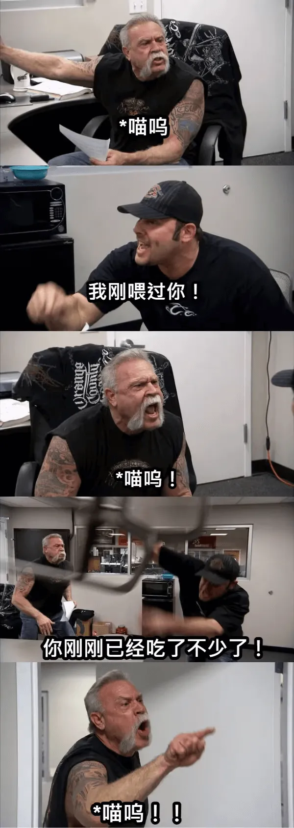 *喵呜我刚喂过你!*喵呜!你刚刚已经吃了不少了!*喵呜!!