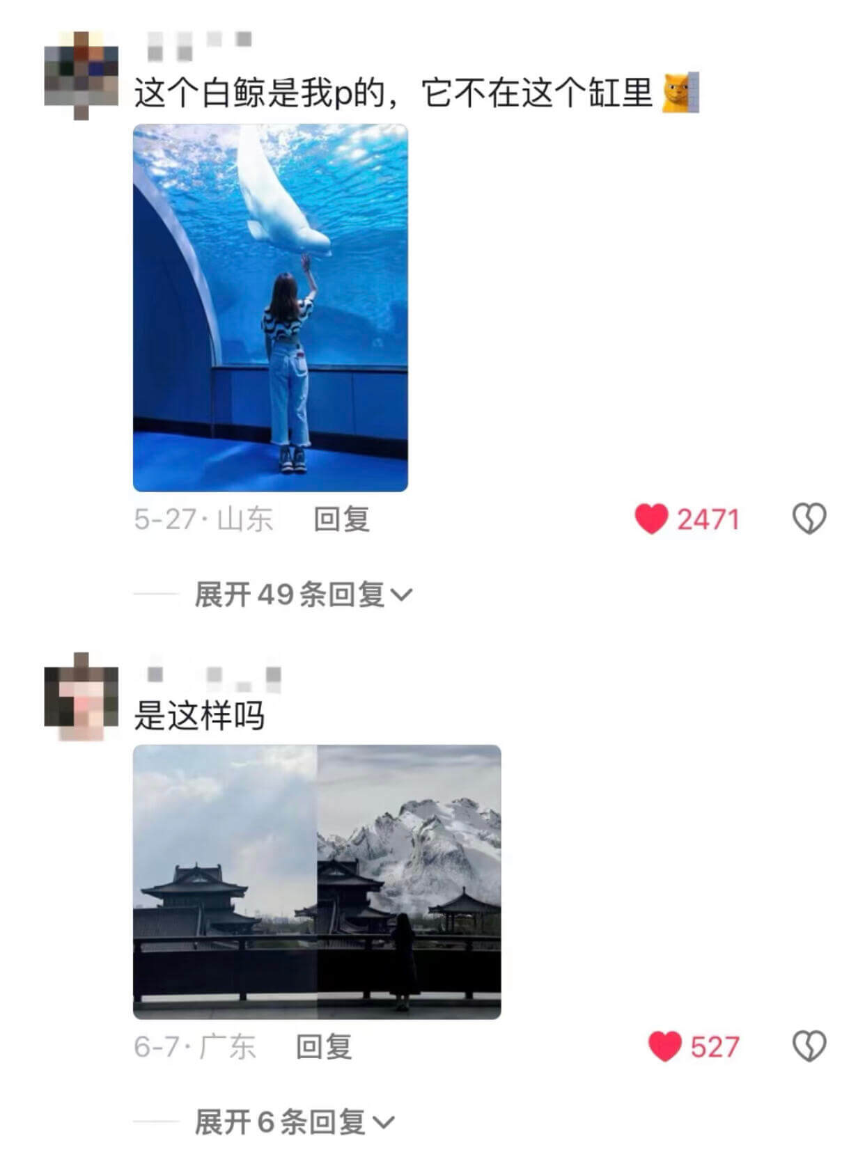 这个白鲸是我P的，它不在这个缸里。5-27·山东回复2471