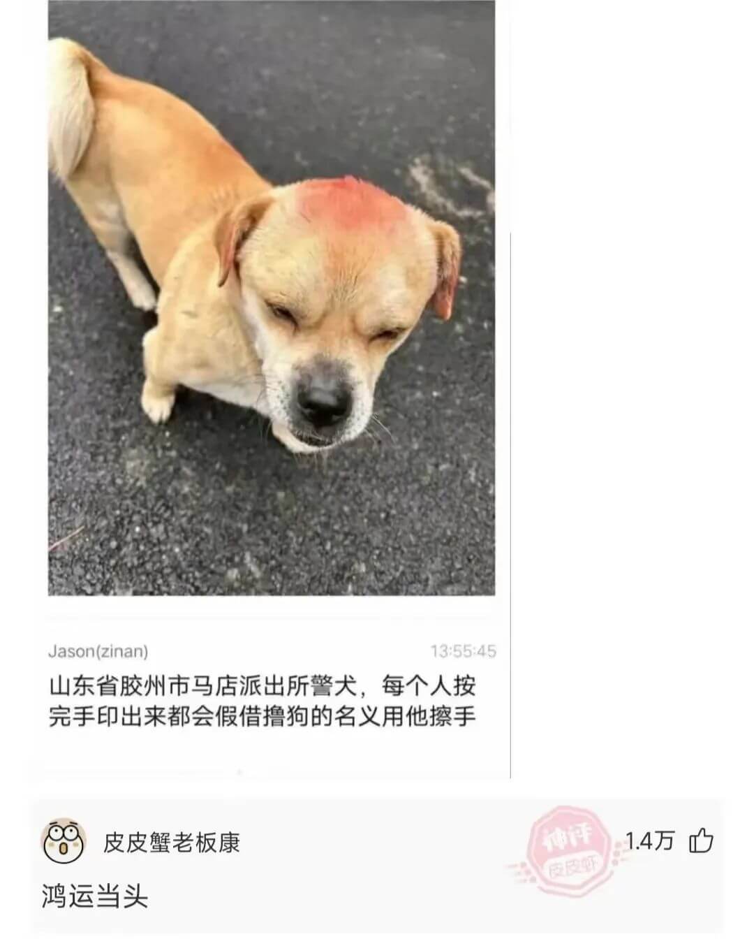 Jason(zinan)13:55:45山东省胶州市马店派出