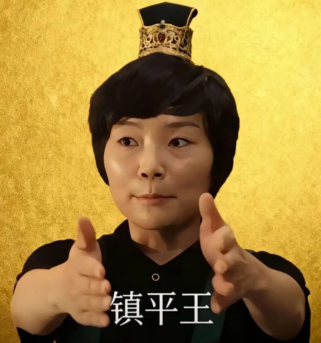 镇平王