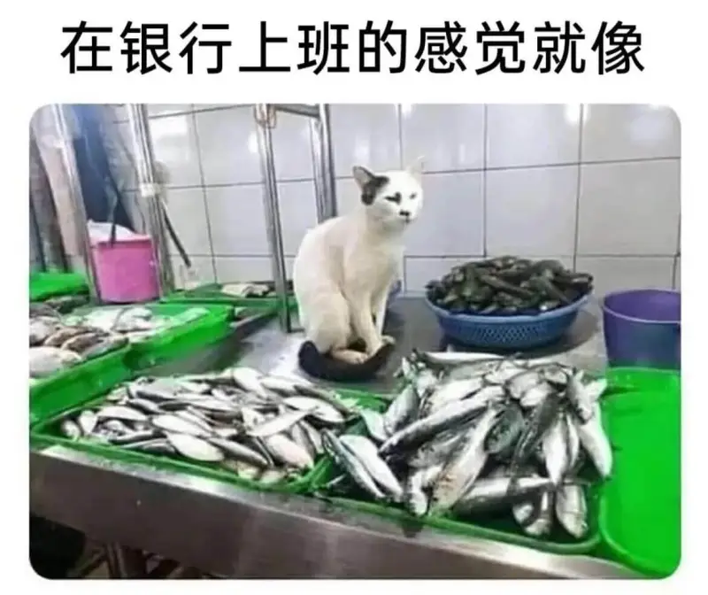 在银行上班的感觉就像