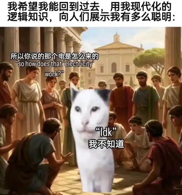 我希望我能回到过去，用我现代化的逻辑知识，向人们展示我有多么