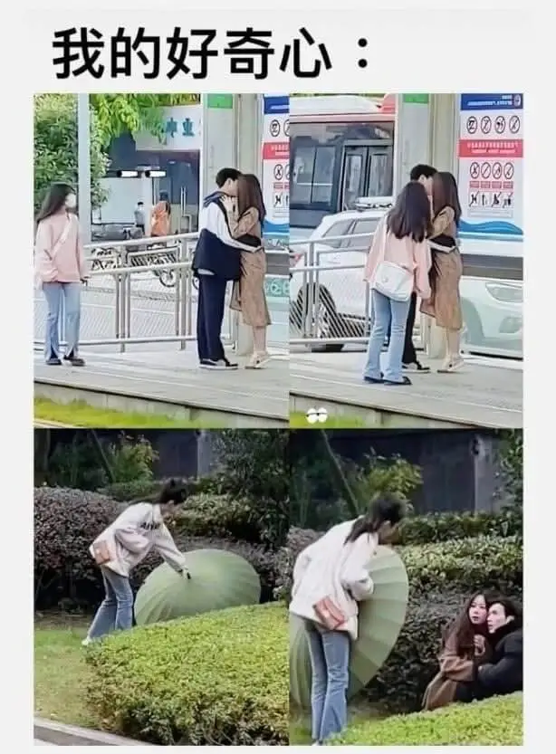 我的好奇心: