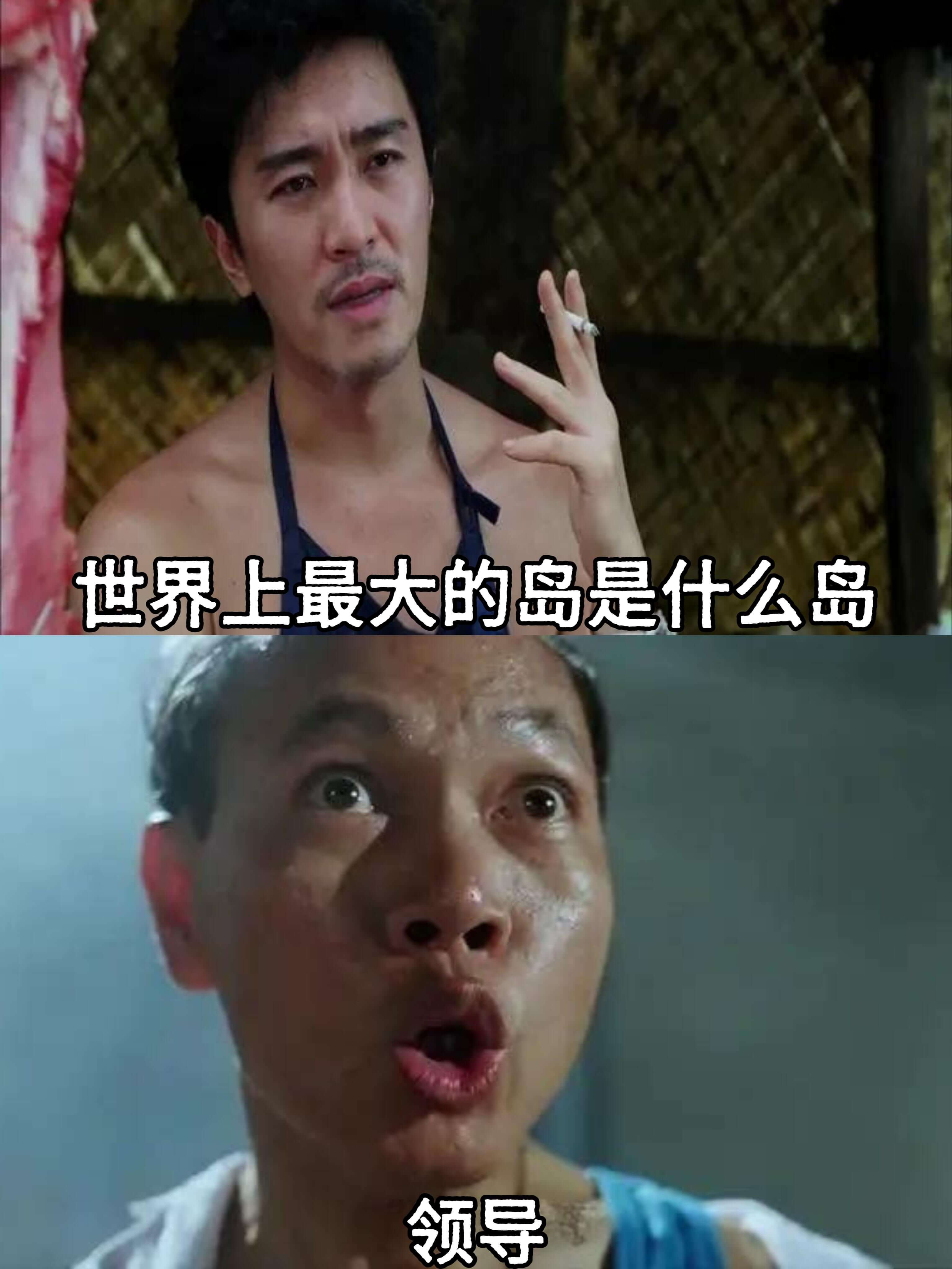 世界上最大的岛是什么岛？领导