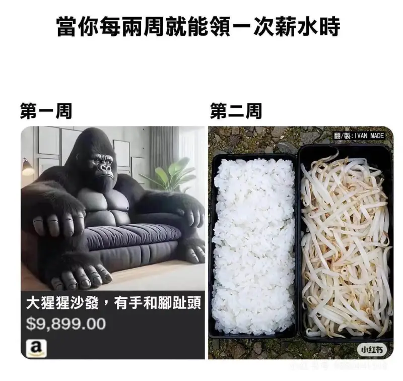 當你每兩周就能領一次薪水時第一周第二周翻/製:IVANMAD