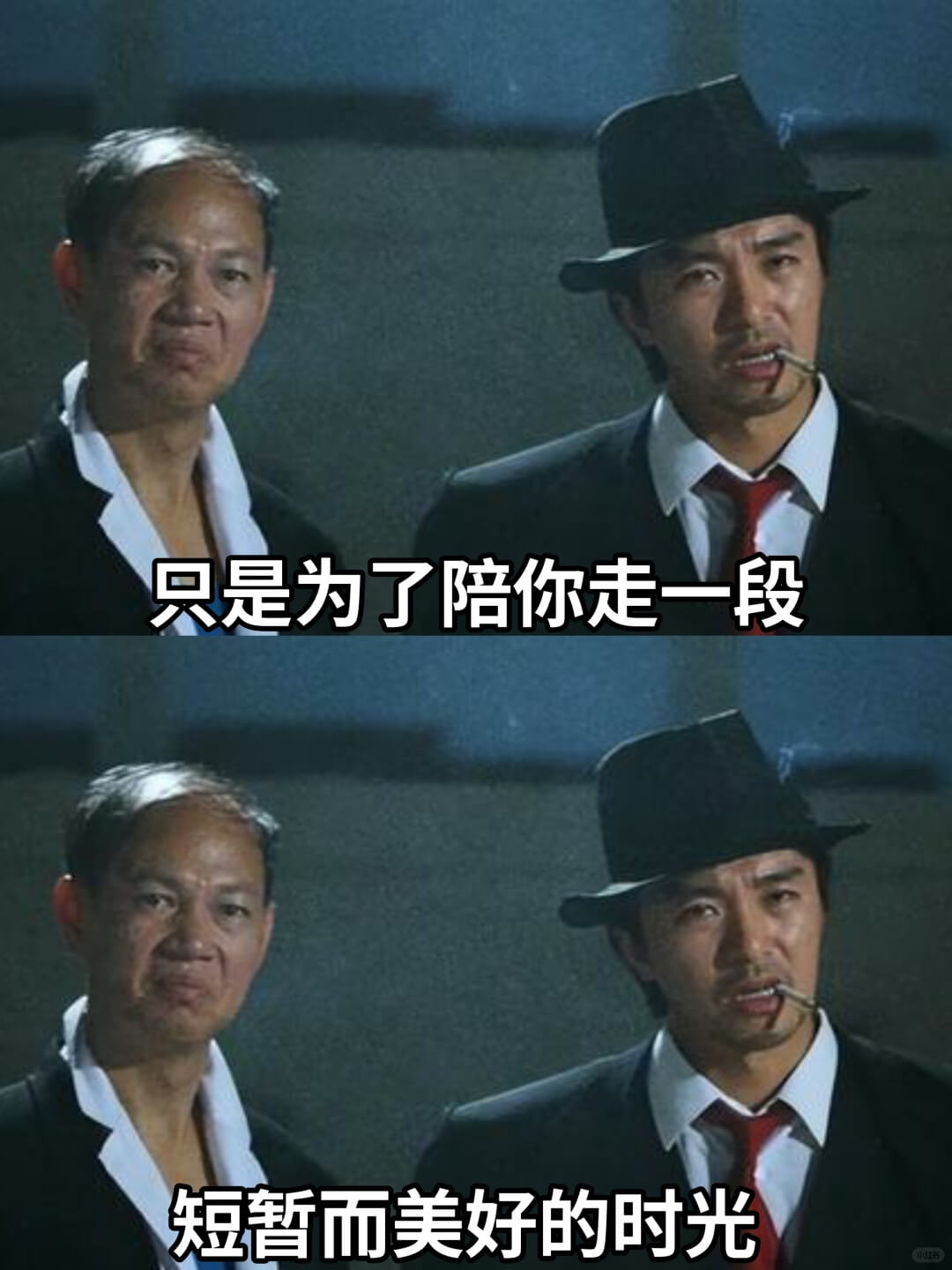 只是为了陪你走一段短暂而美好的时光