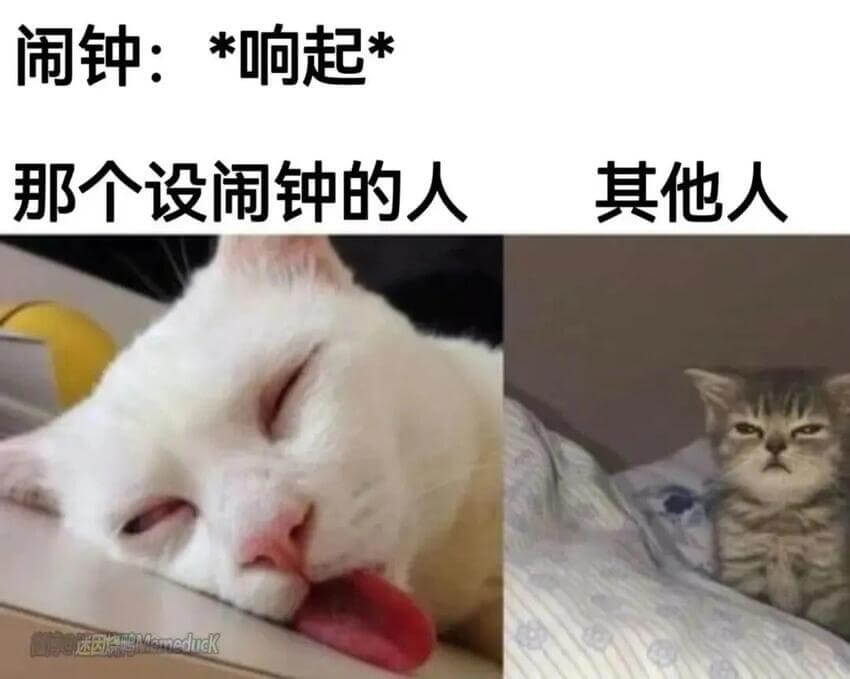 闹钟：*响起*那个设闹钟的人其他人evamedidk