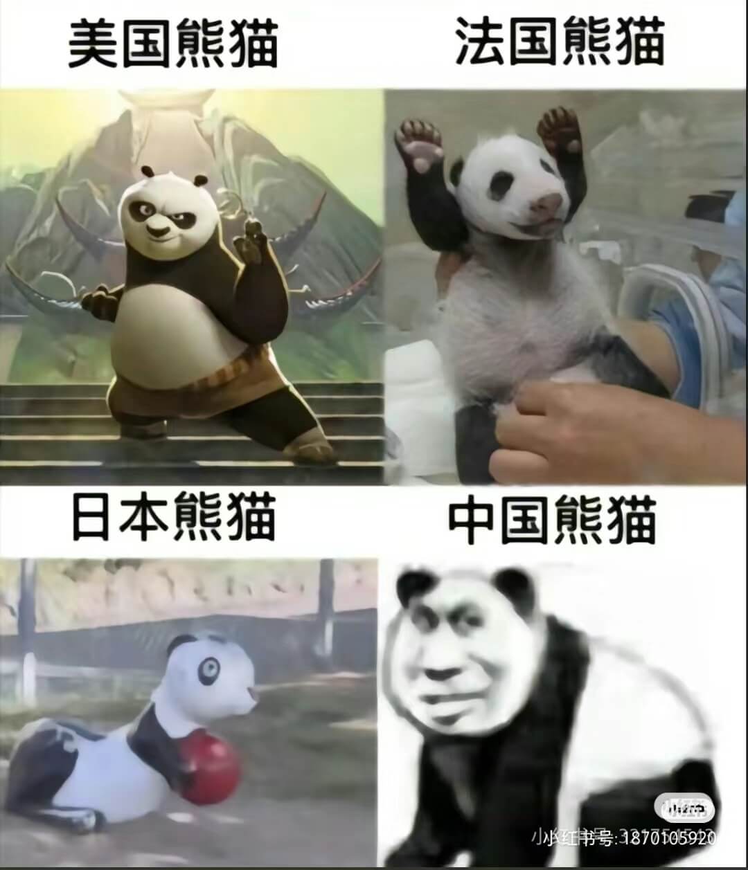 美国熊猫法国熊猫日本熊猫中国熊猫小小小红书号：3870105